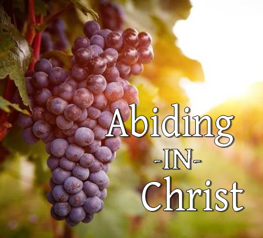 Abiding in Christ - DVD Series by Joe Sweet