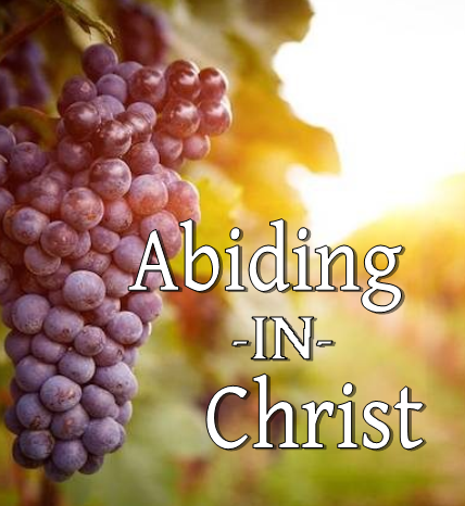 Abiding in Christ - MP3 Series by Joe Sweet