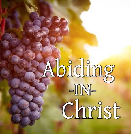 Abiding in Christ - MP3 Series by Joe Sweet