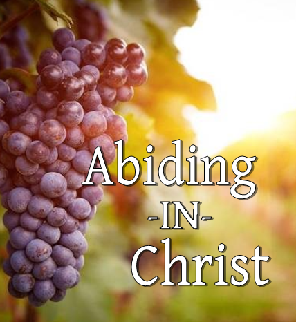 Abiding in Christ - DVD Series by Joe Sweet