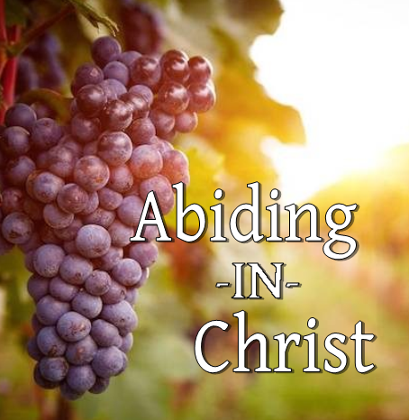 Abiding in Christ - DVD Series by Joe Sweet