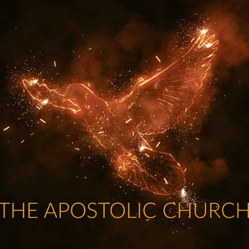 The Apostolic Church - CD Series by Joe Sweet