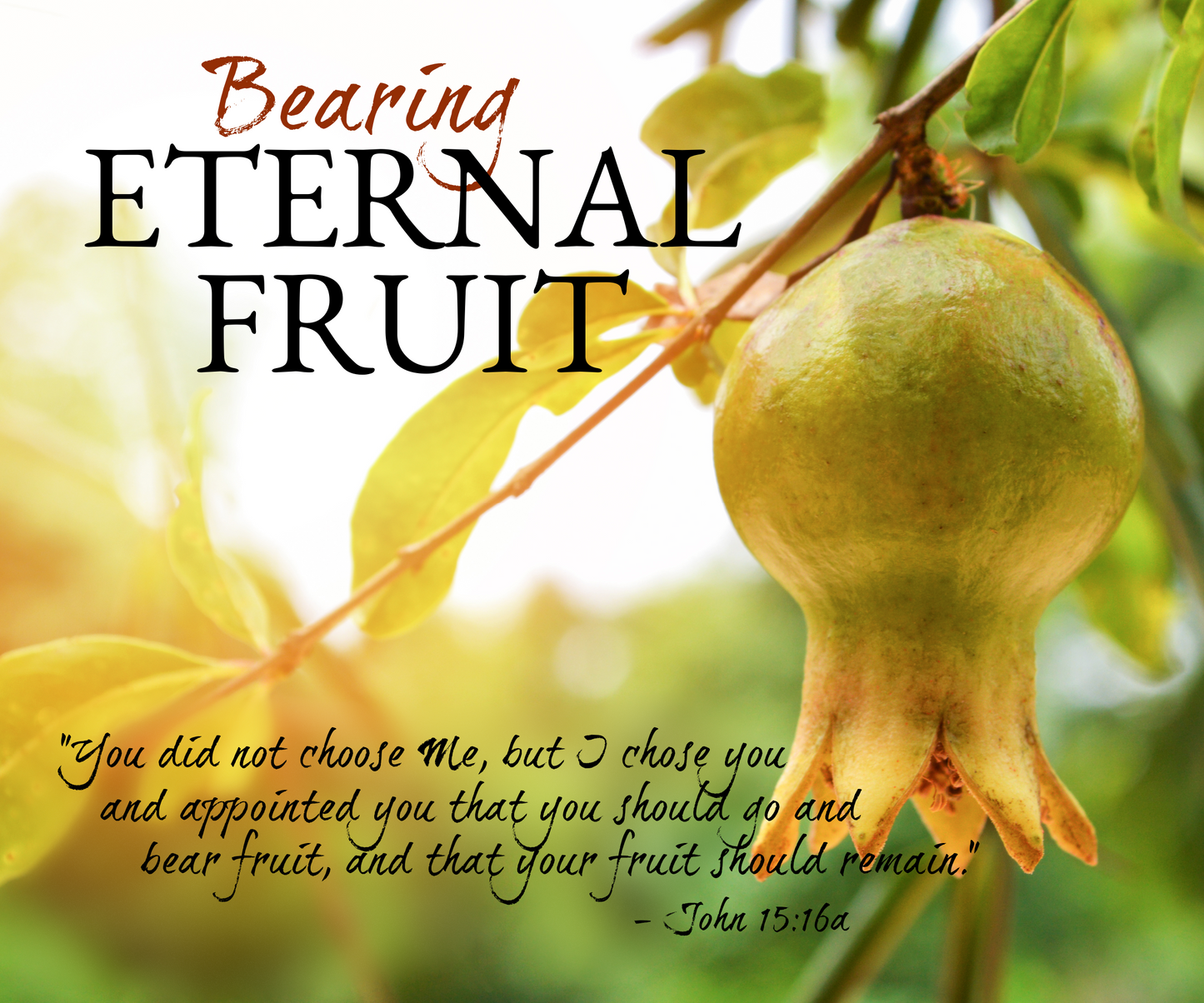 Bearing Eternal Fruit - CD Series by Joe Sweet