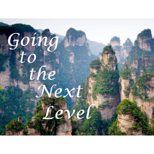 Going to the Next Level - CD Series by Joe Sweet