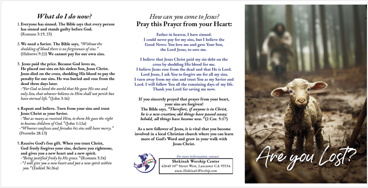 Gospel Tract - Are You Lost? - 100 Pack