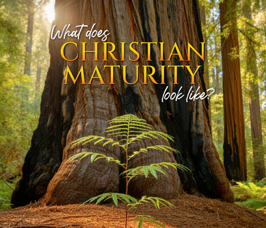 What Does Christian Maturity Look Like? CD Series by Joe Sweet